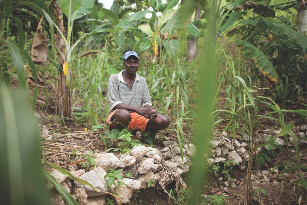 Medis Seraphen (pictured above), says, “The water was ravaging this land and with the hard work we did last year, we are holding the soil so we can now plant sweet potatoes, plantains, yams, ginger, corn, and manioc.”